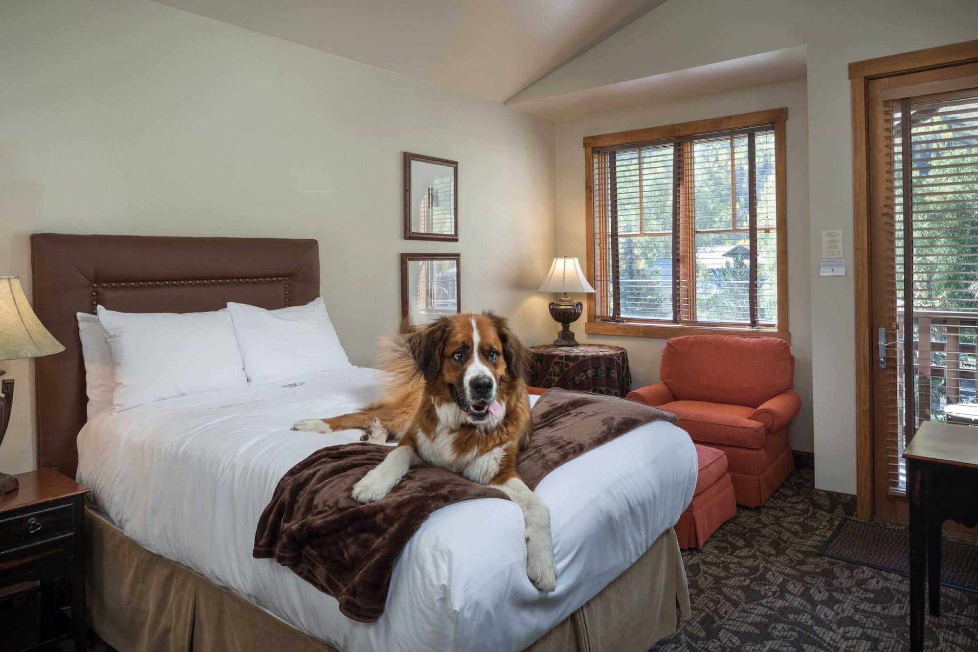 The Hotel Telluride Exterior foto